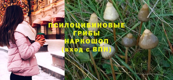 ешки Абинск