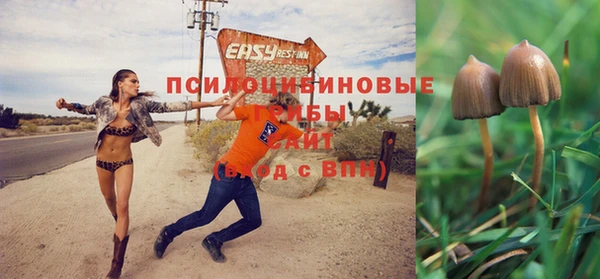 ешки Абинск