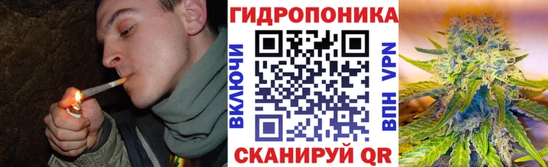 Марихуана конопля  Сертолово 